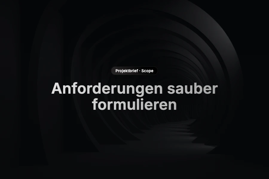 Strukturierte Agenturanfrage für ein Softwareprojekt mit Zielen, Anforderungen und Bewertungslogik